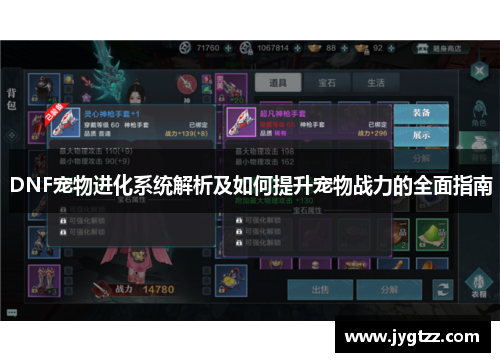 DNF宠物进化系统解析及如何提升宠物战力的全面指南 DNF宠物进化系统解析及如何提升宠物战力的全面指南
